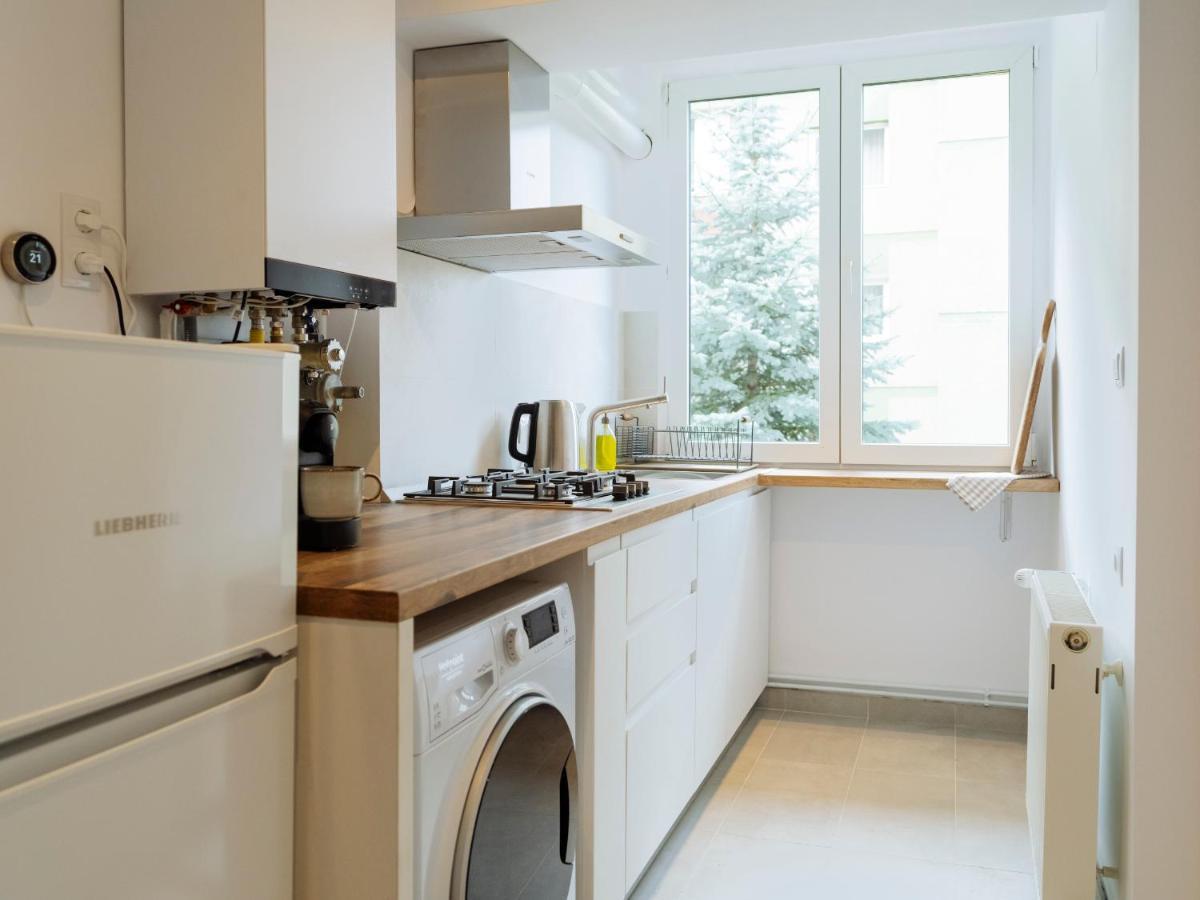 Cozy Central Apartment Near The Forest 브라쇼브 외부 사진