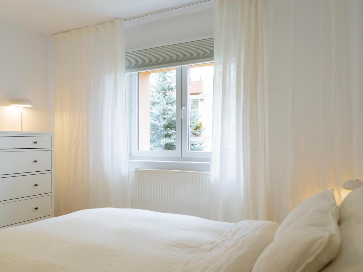 Cozy Central Apartment Near The Forest 브라쇼브 외부 사진