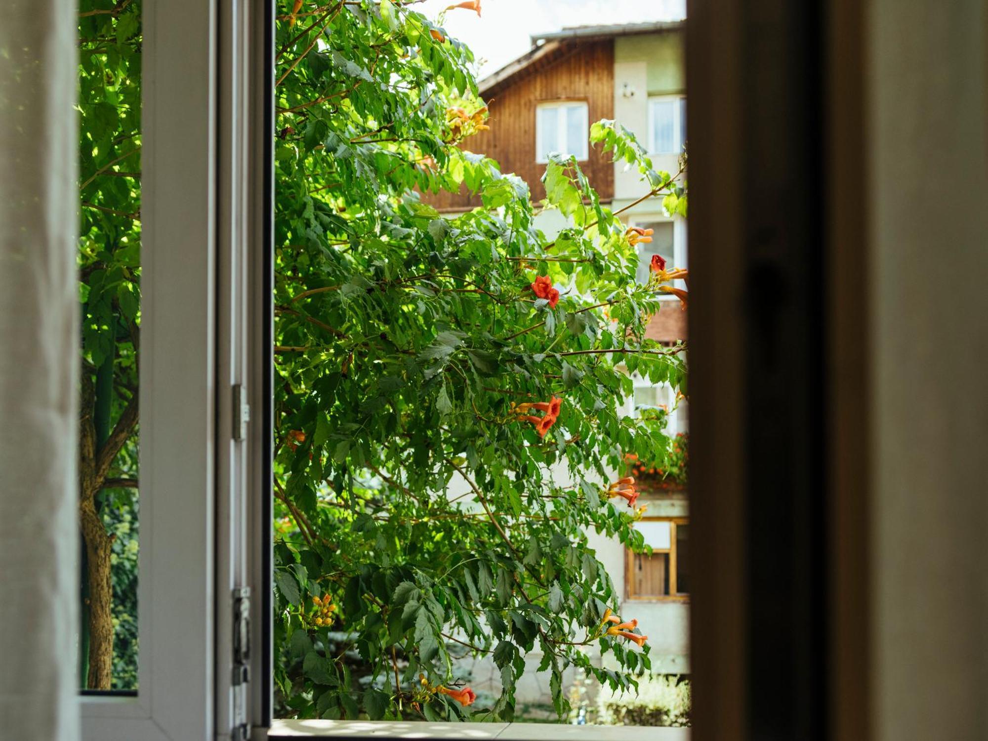 Cozy Central Apartment Near The Forest 브라쇼브 외부 사진