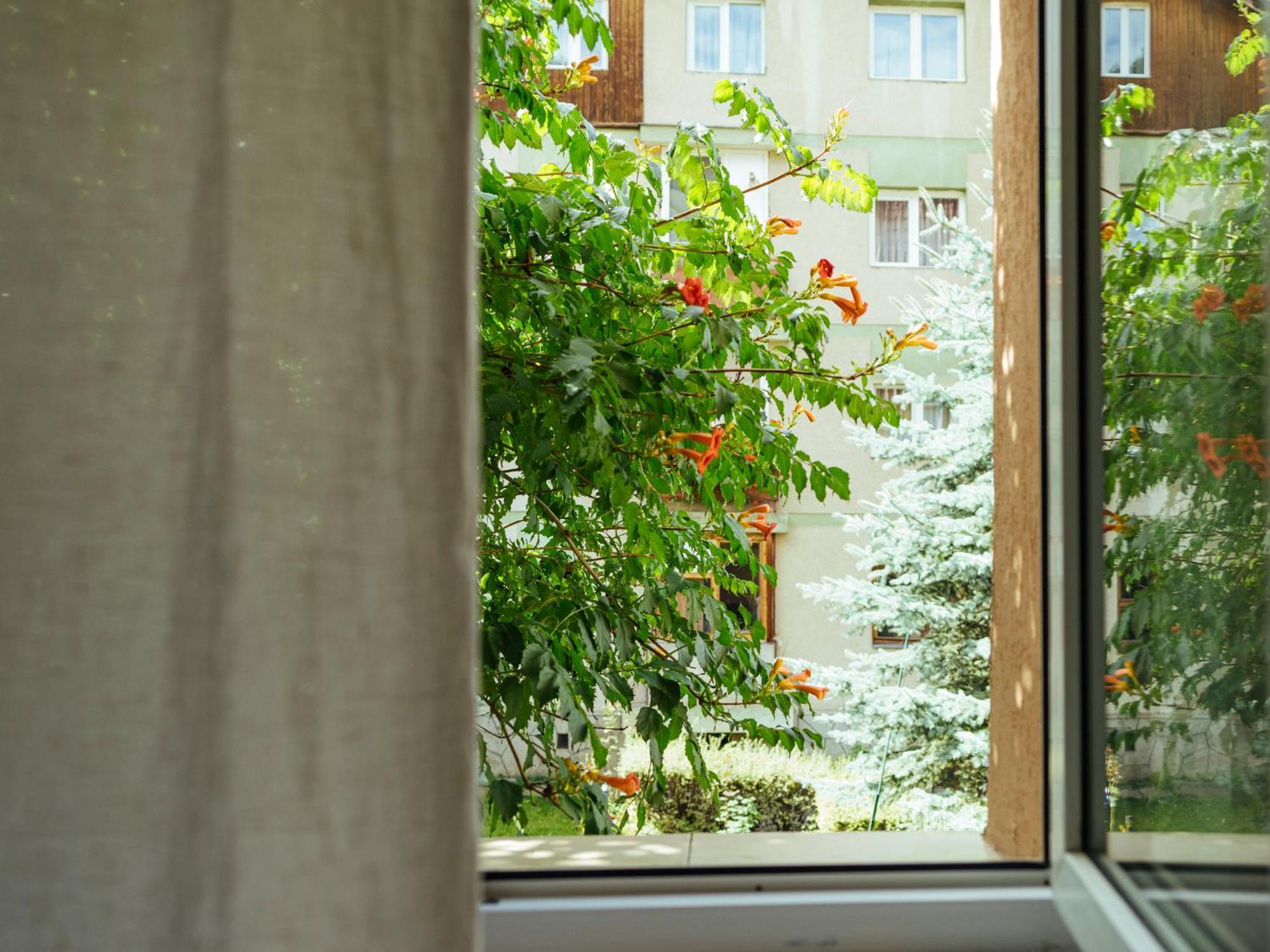 Cozy Central Apartment Near The Forest 브라쇼브 외부 사진
