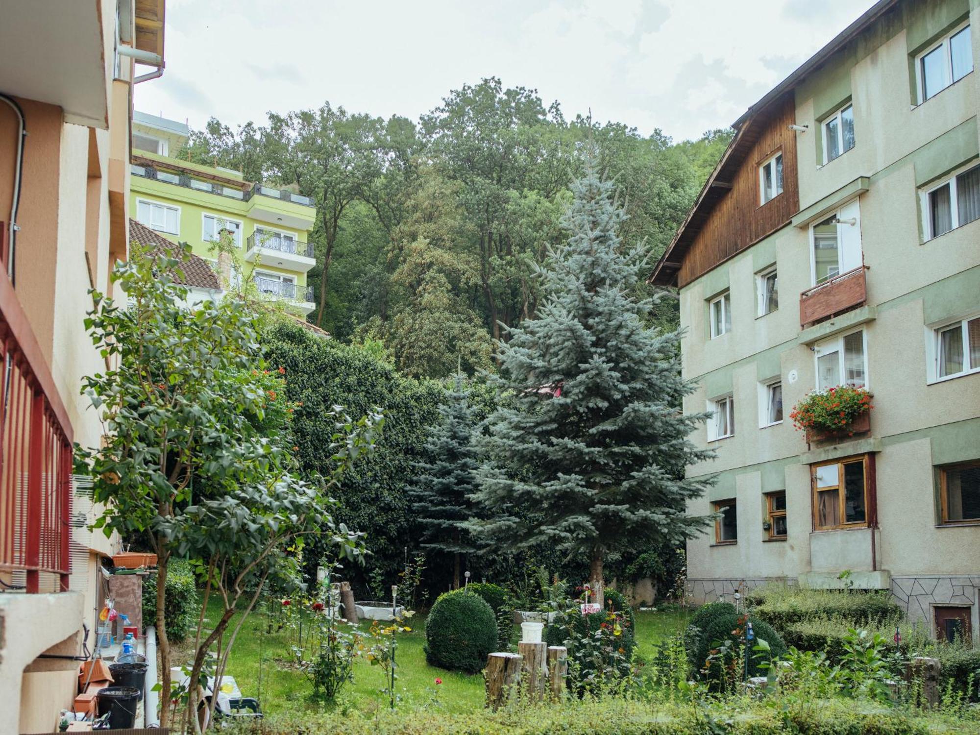 Cozy Central Apartment Near The Forest 브라쇼브 외부 사진