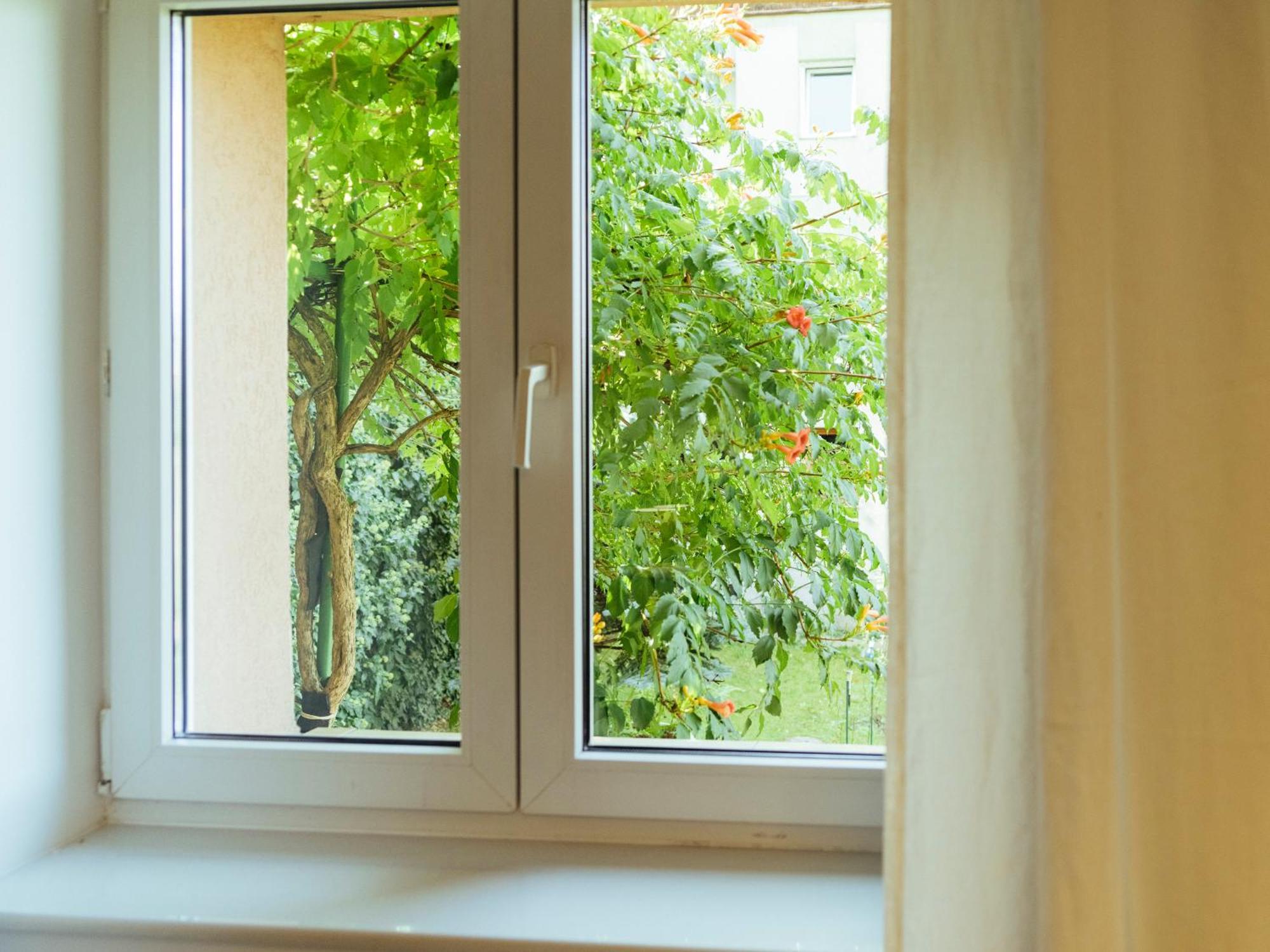 Cozy Central Apartment Near The Forest 브라쇼브 외부 사진